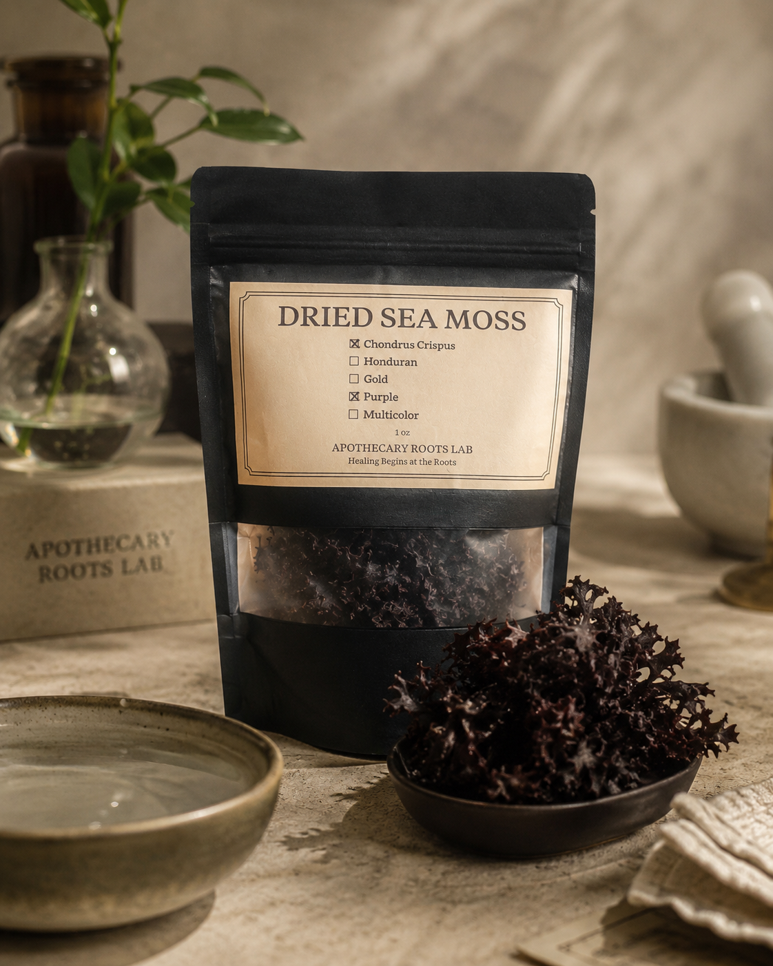 SAND | Dried Sea Moss